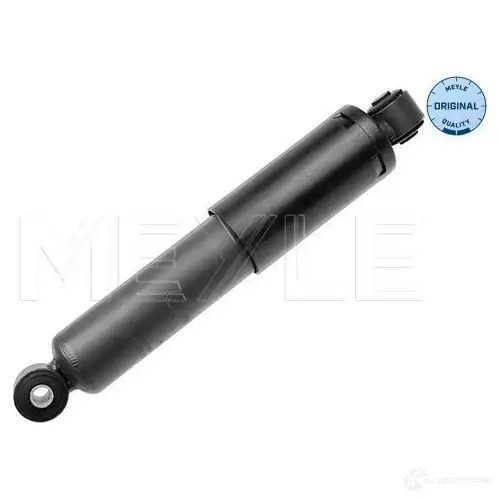 Амортизатор MEYLE 1417959 DSTYNCW M SA0195 226 725 0003 изображение 0