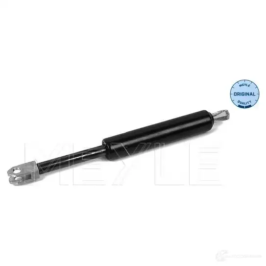 Амортизатор багажника MEYLE MTS017 8 6IDRYCF 1418124 240 161 0180