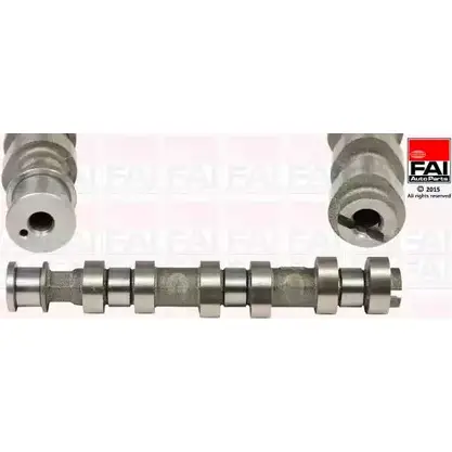 Распредвал FAI AUTOPARTS FKFEO0 9 C320 HUFTSHY 2165582