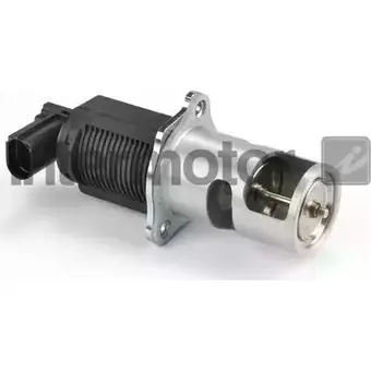 Клапан ЕГР STANDARD 2206973 TI90Y4 M5 EPL 14310