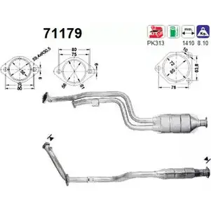 Катализатор AS 71179 RIC M6 2282438 2QCZLI3 изображение 0