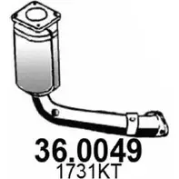 Катализатор ASSO 2406823 KH ZPX 36.0049 изображение 0