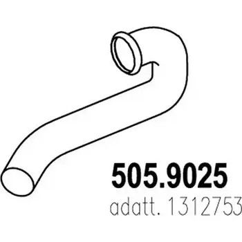 Выхлопная труба глушителя ASSO 505.9025 2408217 W BPP9 изображение 0