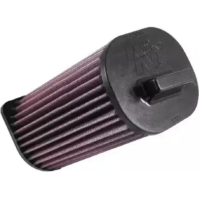 Воздушный фильтр K&N FILTERS 2453985 e0663 BPEXG 0 0024844353900