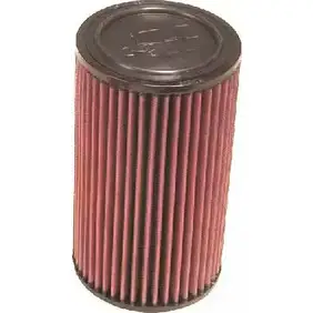 Воздушный фильтр K&N FILTERS e2012 2454079 CV H8V 0024844101082