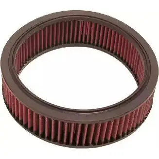 Воздушный фильтр K&N FILTERS 2454180 DU LZZT e2813 0024844003331