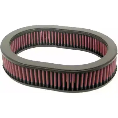 Воздушный фильтр K&N FILTERS e2983 2454212 0024844003591 E QMGV6