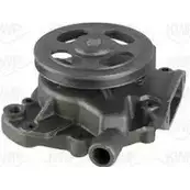 Водяной насос, помпа KWP XJGGXL 2469521 UBC UV 101324