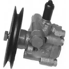Насос Гур GENERAL RICAMBI PI0300 PKM 3XNB 2486575 изображение 0