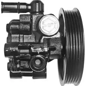Насос Гур GENERAL RICAMBI 2486974 GW OLN PI1135