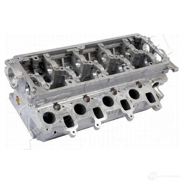 Головка блока цилиндров ASHIKA 1437310880 VW09ES XDVI 9U9