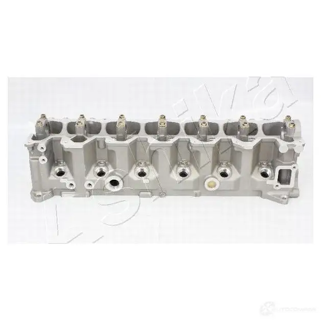 Головка блока цилиндров ASHIKA 2129726 8033001736694 1L 2CJ NS010S - Изображение 1