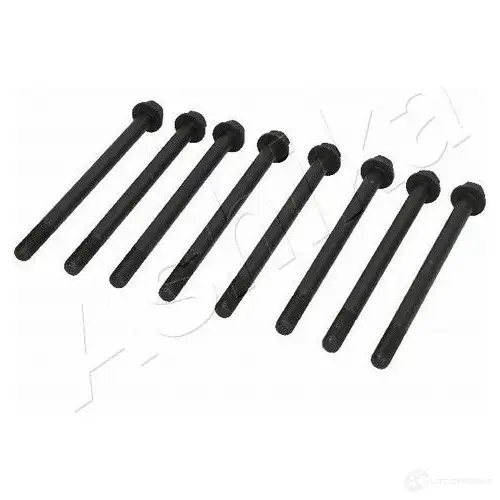 Болт ГБЦ ASHIKA 1437310002 115-06-601 X6TL K - Изображение 1