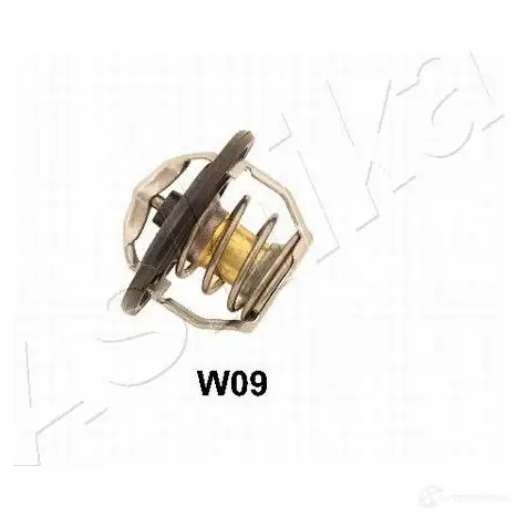 Термостат ASHIKA 8033001964165 BHGFP NS 2112816 38-0W-W09
