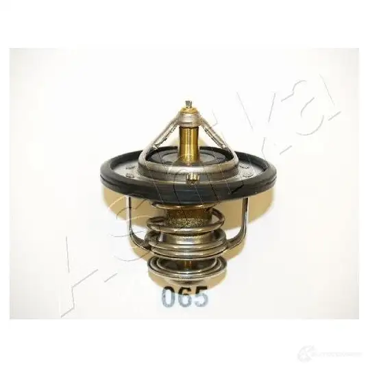 Термостат ASHIKA 8033001451412 2111502 0Y3TDP M 22-065 изображение 0