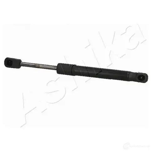 Амортизатор багажника ASHIKA ZSA02049 DUI NC 1437992806