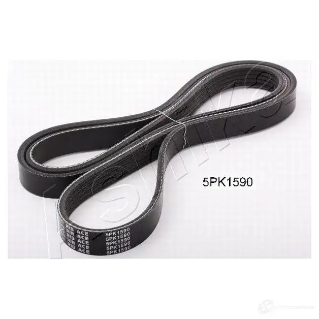 Приводной ремень поликлиновой ASHIKA 8033001462852 1HC T2YZ 112-5PK1590 2107115