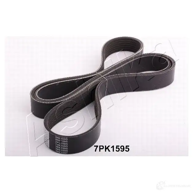 Приводной ремень поликлиновой ASHIKA Y2M W3 8033001464450 112-7PK1595 2107408