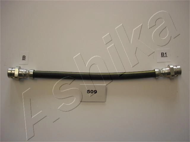 Кронштейн тормозного шланга ASHIKA 69-05-509 6232150 LX5PT X4