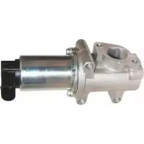Клапан ЕГР HOFFER 24EX4 V 2620896 EJXVD0 7518516