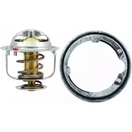 Термостат ож HOFFER BT1X9T WDYA W 2622953 8192414