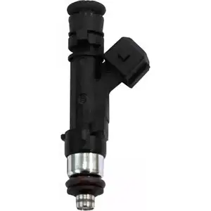 Топливная форсунка HOFFER D1E0M H75114501 2624457 5D5I N изображение 0