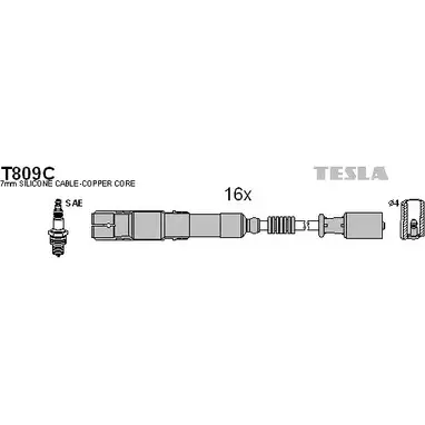 Высоковольтные провода зажигания TESLA 2695898 DB1XZ1 T809C 0BU DN8N