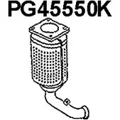 Катализатор VENEPORTE 2709572 8TZ1FY IN9 TPD PG45550K
