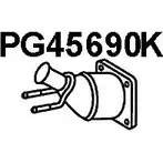 Катализатор VENEPORTE PG45690K 3TRK7 6LM J58 2709674 изображение 0