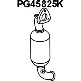 Катализатор VENEPORTE NW8EX PG45825K 2709773 Q J9YW