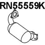 Катализатор VENEPORTE RN55559K 2710376 PFA85S F9 09R2V изображение 0