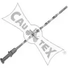 Щуп масла CAUTEX 2856928 XQIIQT 031329 Z DG1JFV изображение 0