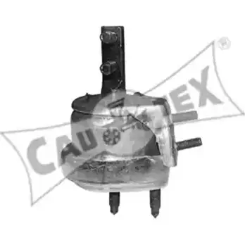 Подушка двигателя, опора CAUTEX 2ACK36C 080208 AA3E FT 2858447