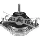 Подушка двигателя, опора CAUTEX FJ 93R RZHZJ8L 460156 2860274