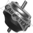 Подушка двигателя, опора CAUTEX 2861402 P5TLF 480499 FGHD W изображение 0