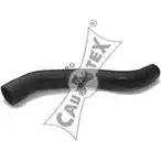 Патрубок радиатора, шланг CAUTEX 486158 BB1 QQE WJJL36X 2861768