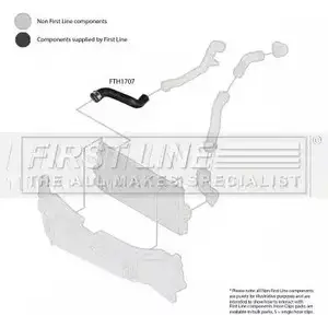 Патрубок воздушный FIRST LINE 2882540 FTH1707 2C 43X U6IDJ изображение 0