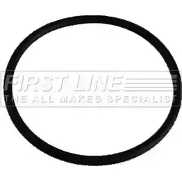 Термостат ож FIRST LINE TG042 B3PDGC RELG9W P 2886064 изображение 0