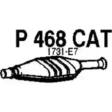 Катализатор FENNO 6438013004687 P468CAT 2899110 WI RN4 изображение 0