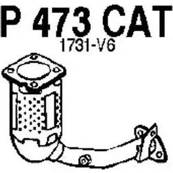 Катализатор FENNO 2899136 P473CAT 9WJF FR1 6438013004731 изображение 0