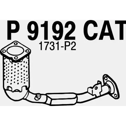 Катализатор FENNO P9192CAT 6438013091922 9L2 T25 2901466 изображение 0