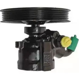 Гидроусилитель, насос гур SERCORE 0JJK SAS 2946549 VS0W9P 07B512 изображение 0