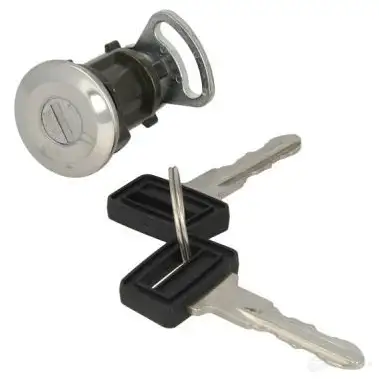 Ключ замка с личинкой PACOL 3864731 FNG RJB voldr0011 изображение 0