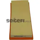 Воздушный фильтр COOPERSFIAAM 2973315 L8680 E PA7448 GWR0OZO