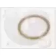 Уплотнительное кольцо, резьбовая пр NPS M129A06 H2 5AC1 2990686 NOZR2 изображение 0