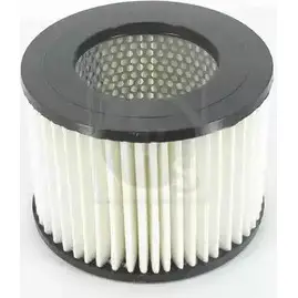 Воздушный фильтр NPS GX GSIV 3007391 OWUT139 T132A06
