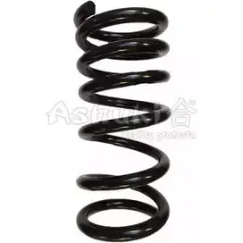 Пружина ASHUKI BL1NLN 1665-4005 GF THHL 3037795