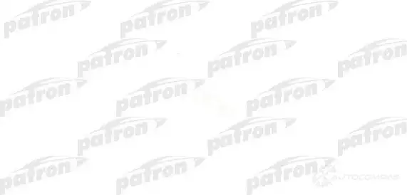 Сетка топливного насоса PATRON 1425554858 hs160002 JF SVDMD изображение 0