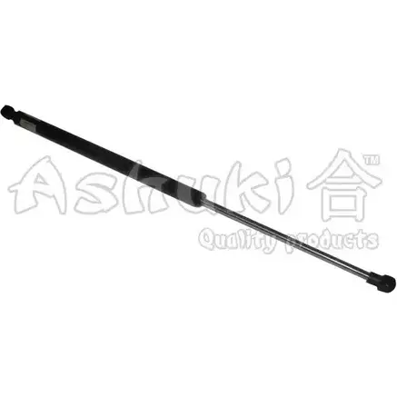 Амортизатор багажника, упор задней двери ASHUKI UGC8R G KYYKRKH 3055459 T902-92