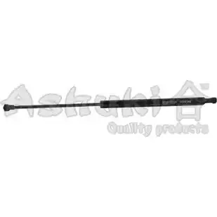 Амортизатор багажника, упор задней двери ASHUKI OYS0FY FK MFHCA 3055509 T928-05